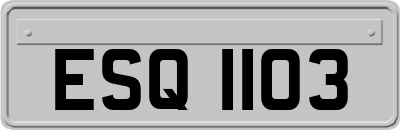 ESQ1103