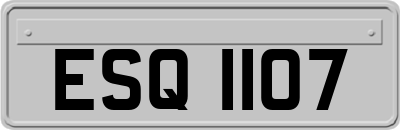 ESQ1107