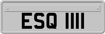 ESQ1111