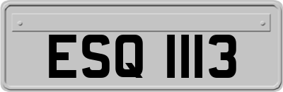 ESQ1113