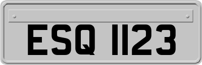 ESQ1123