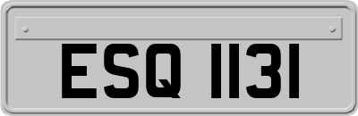 ESQ1131