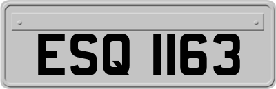 ESQ1163