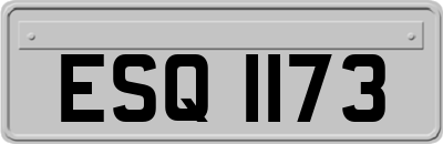 ESQ1173