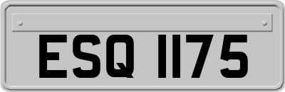 ESQ1175
