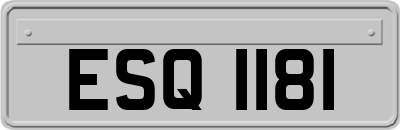 ESQ1181
