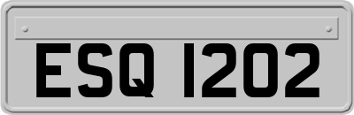 ESQ1202