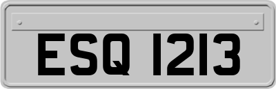 ESQ1213