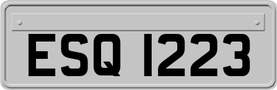 ESQ1223