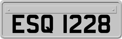 ESQ1228