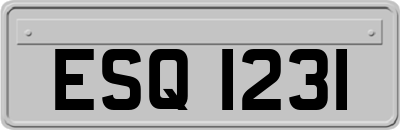 ESQ1231