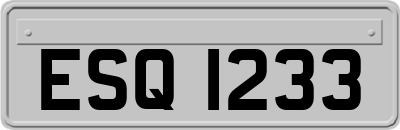 ESQ1233