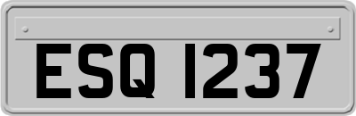 ESQ1237