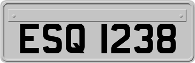 ESQ1238