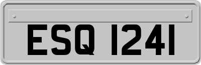 ESQ1241