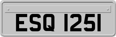 ESQ1251