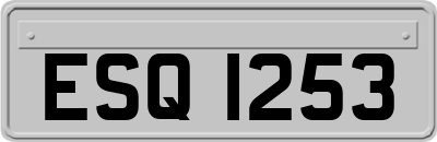 ESQ1253