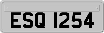 ESQ1254