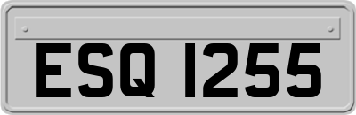 ESQ1255