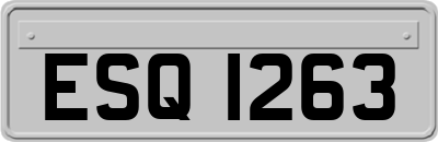 ESQ1263