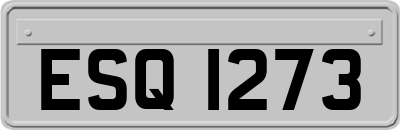 ESQ1273