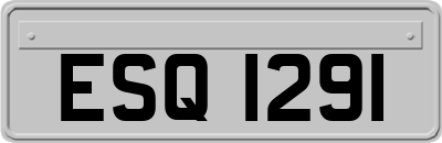 ESQ1291
