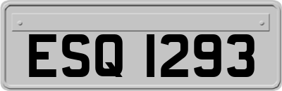 ESQ1293