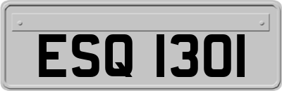 ESQ1301