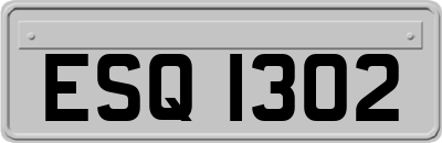 ESQ1302