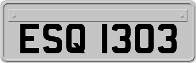 ESQ1303