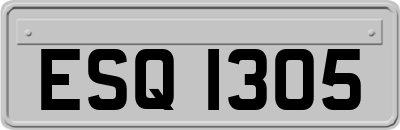 ESQ1305