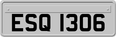 ESQ1306