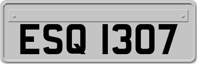 ESQ1307