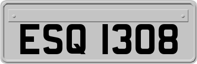 ESQ1308