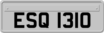 ESQ1310
