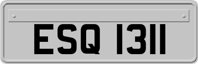 ESQ1311