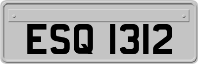 ESQ1312