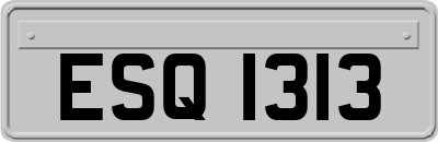 ESQ1313