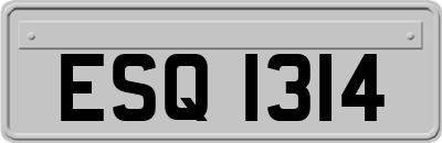 ESQ1314