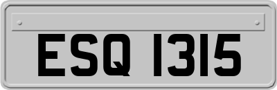 ESQ1315
