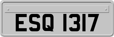 ESQ1317