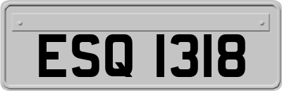 ESQ1318