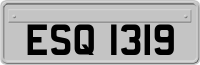 ESQ1319
