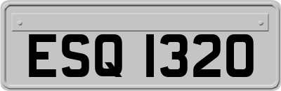 ESQ1320