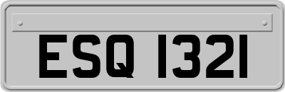 ESQ1321