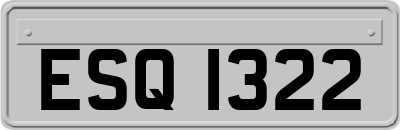 ESQ1322