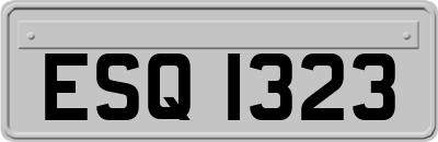 ESQ1323