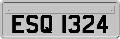 ESQ1324