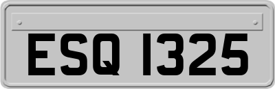 ESQ1325