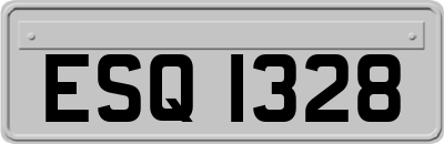 ESQ1328